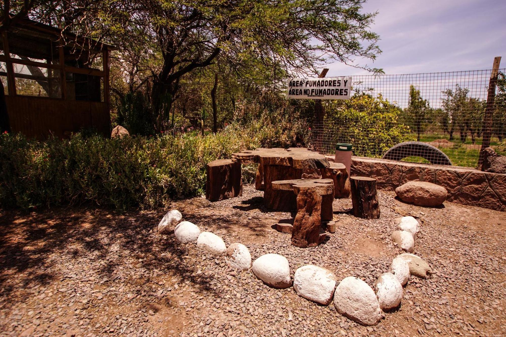 Quinta Adela Bed & Breakfast San Pedro De Atacama Zewnętrze zdjęcie