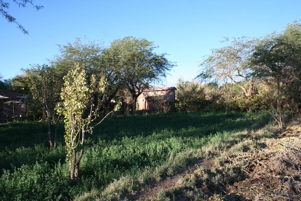 Quinta Adela Bed & Breakfast San Pedro De Atacama Zewnętrze zdjęcie