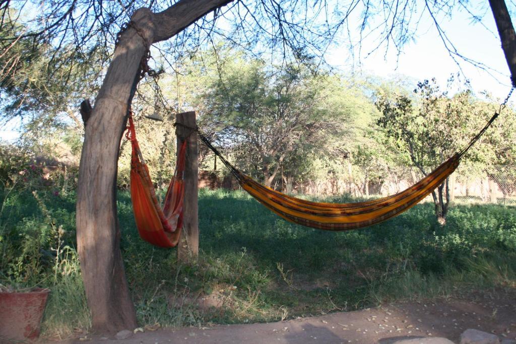 Quinta Adela Bed & Breakfast San Pedro De Atacama Zewnętrze zdjęcie