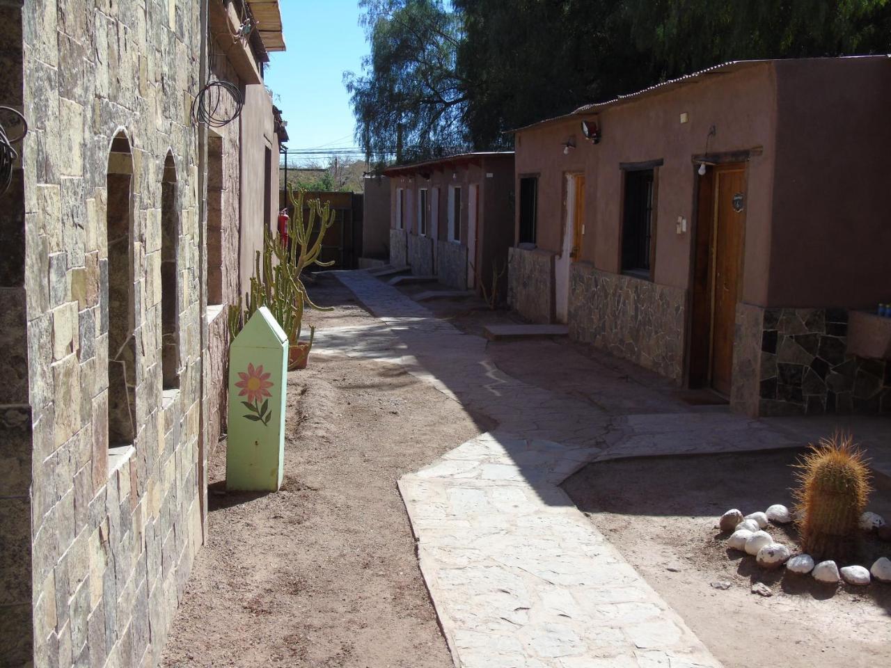Quinta Adela Bed & Breakfast San Pedro De Atacama Zewnętrze zdjęcie